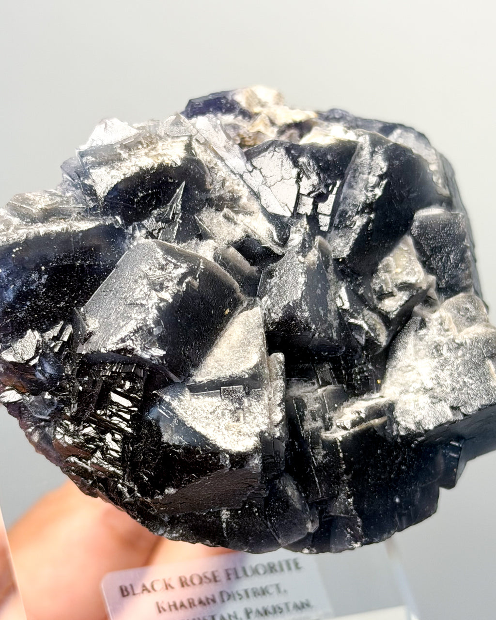 Black Rose Fluorite
