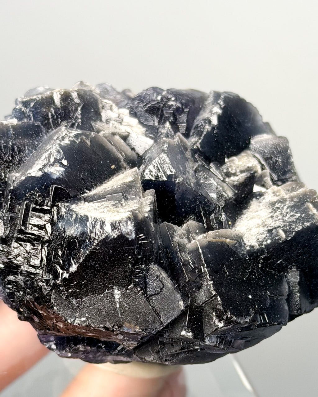 Black Rose Fluorite