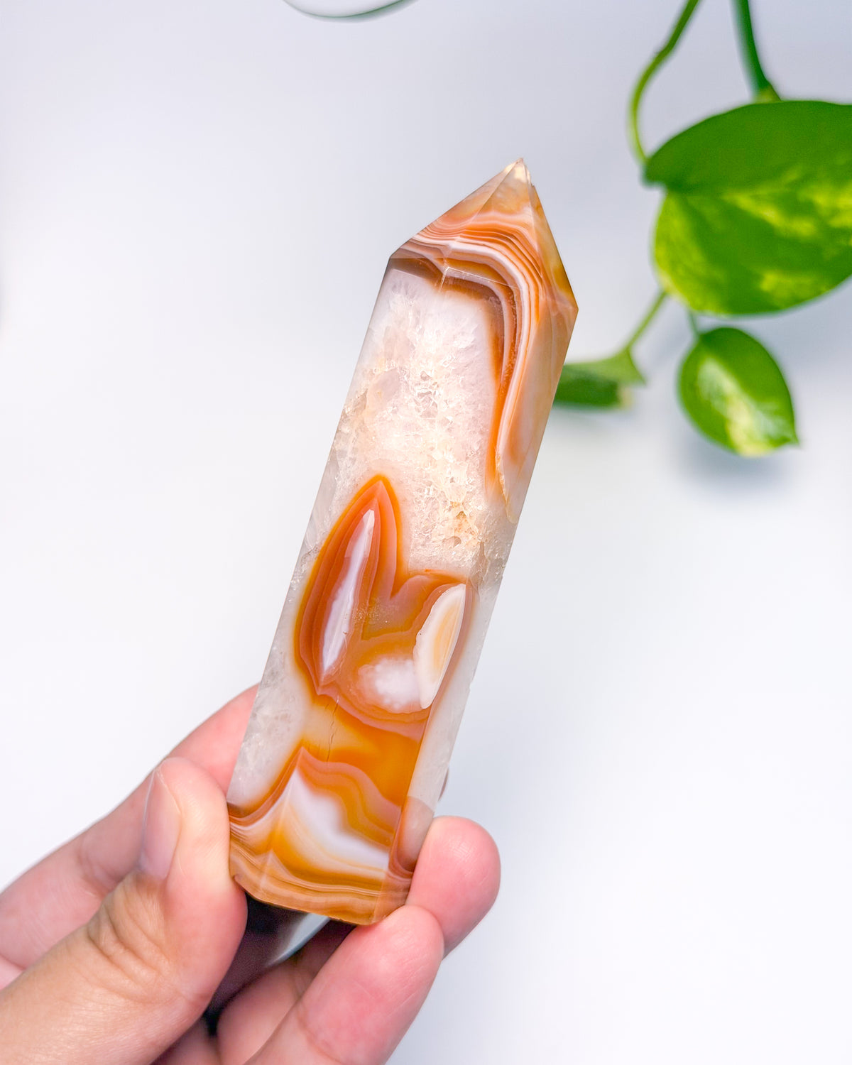 Carnelian w/ Quartz Tower