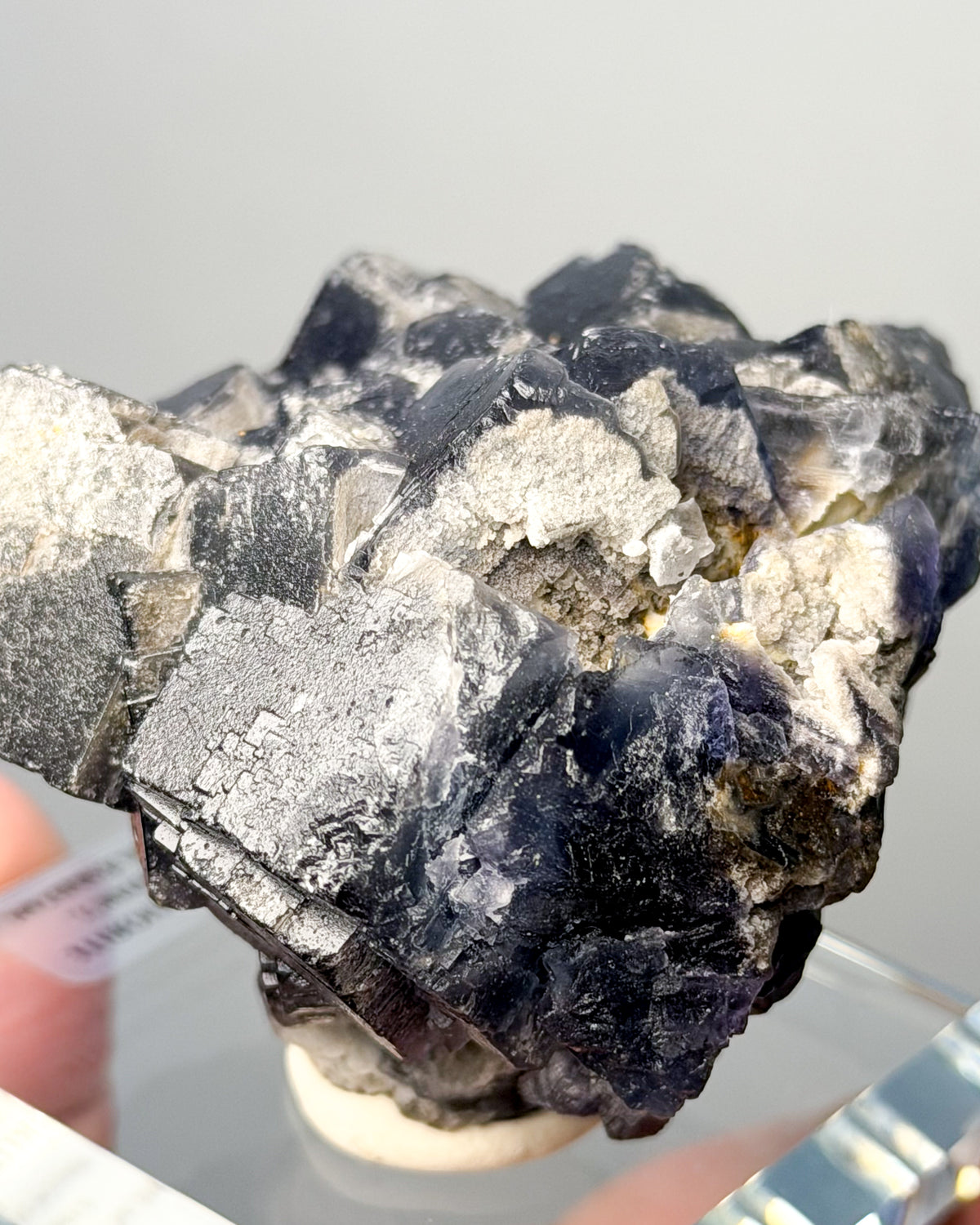 Black Rose Fluorite