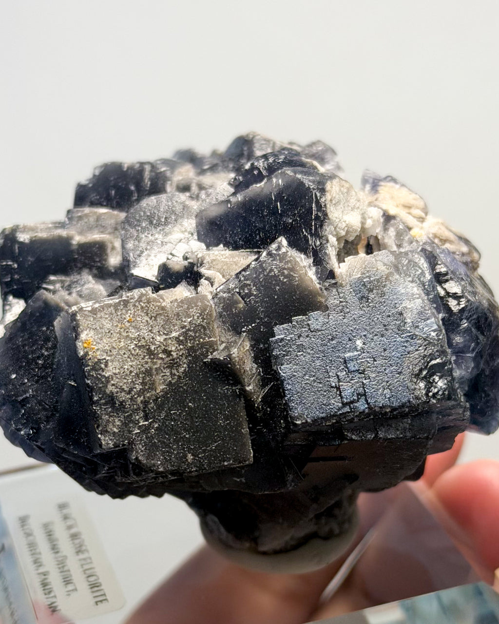 Black Rose Fluorite