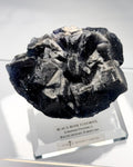 Black Rose Fluorite
