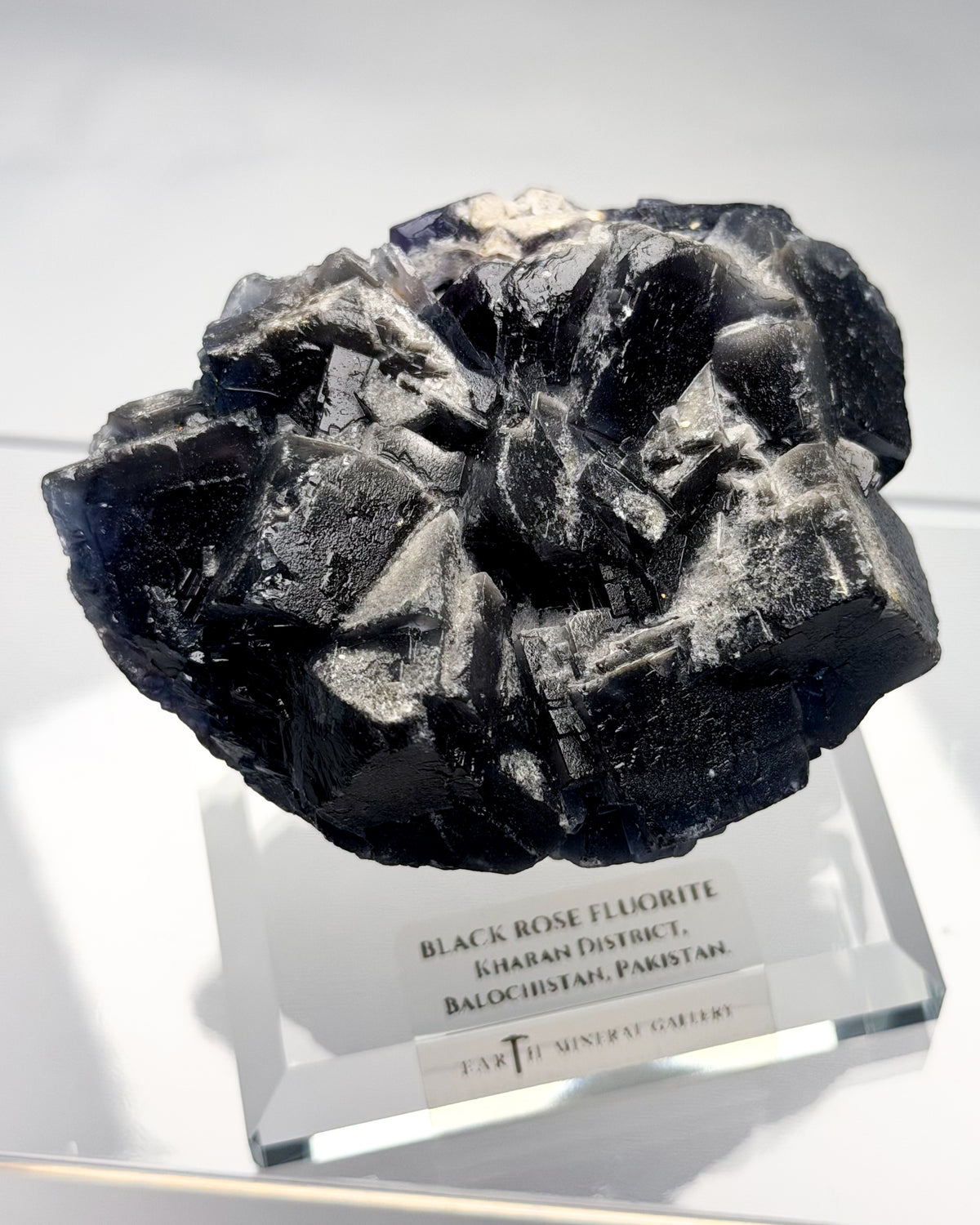 Black Rose Fluorite