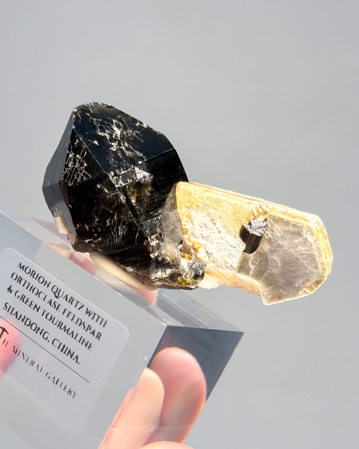 Morion Quartz Specimen