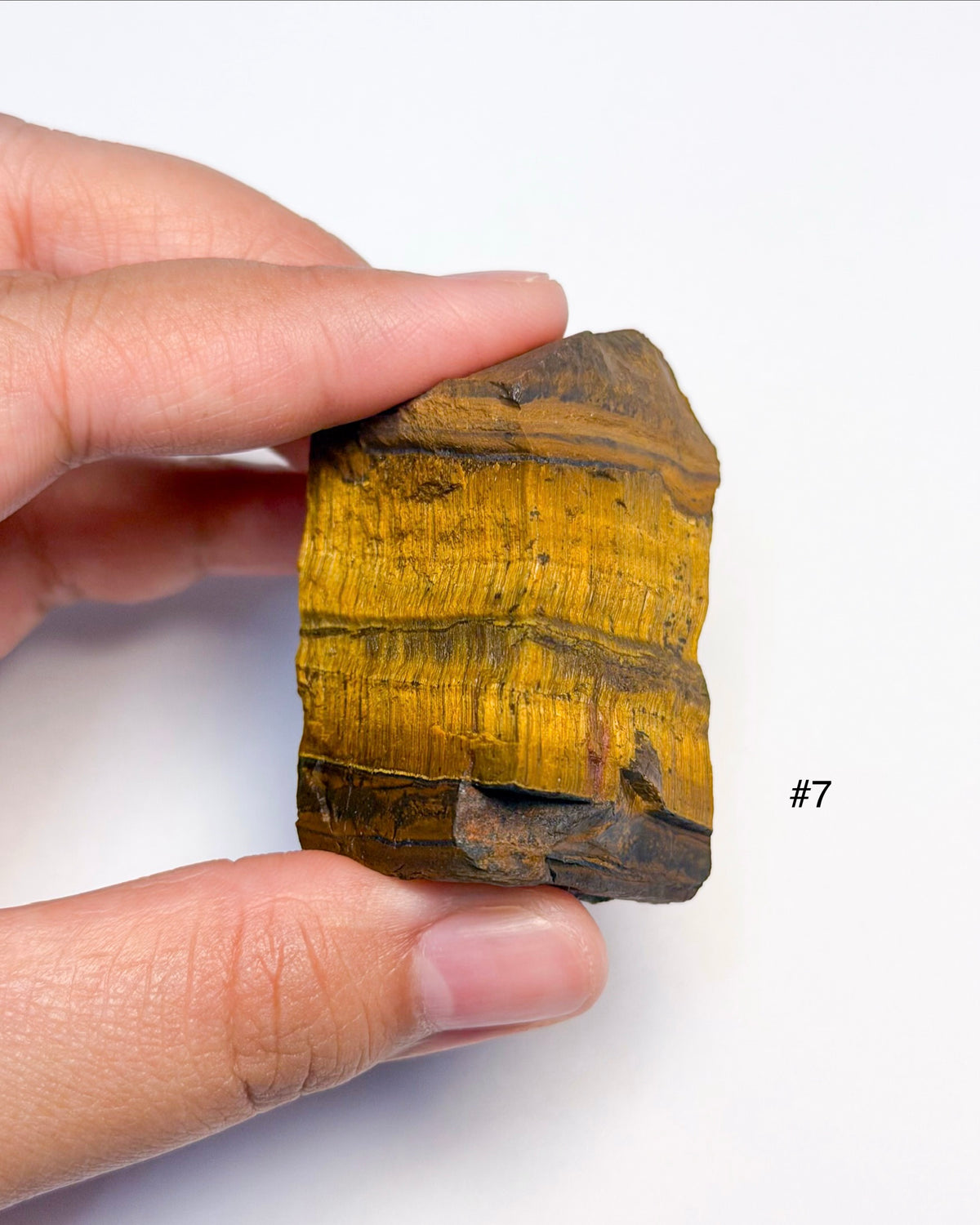 Large Raw Tigers Eye
