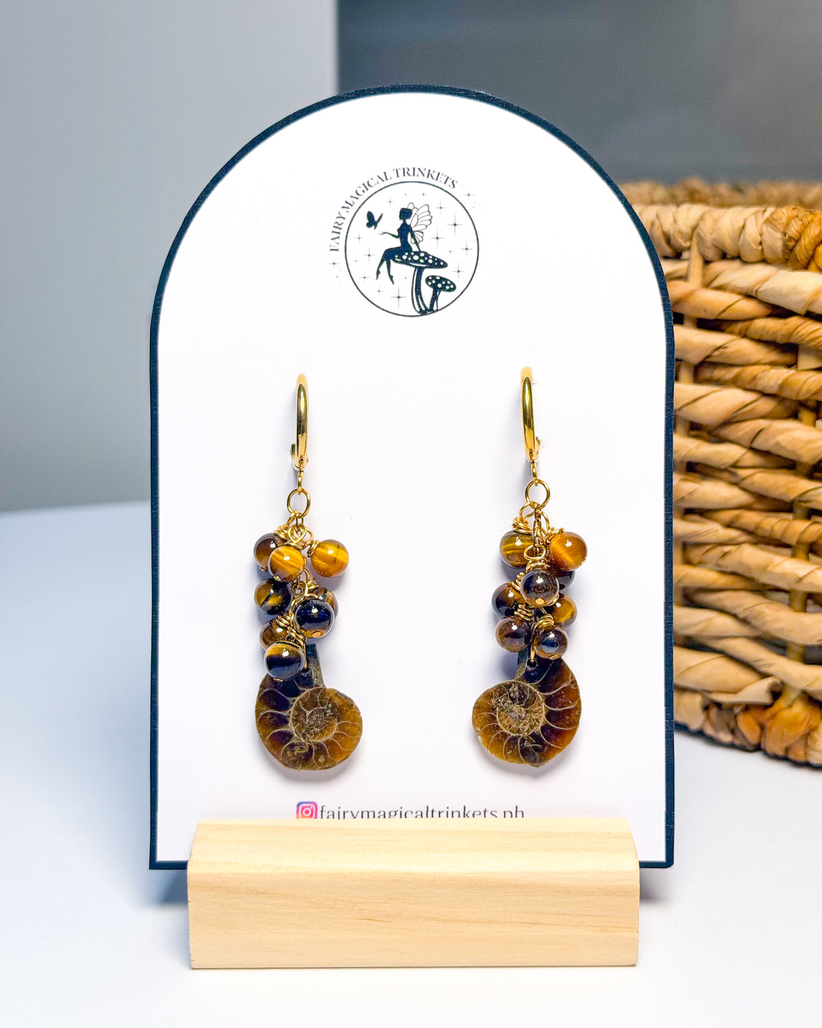 Ammonite + Tiger’s Eye Earrings