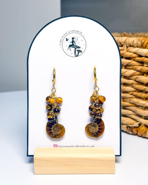 Ammonite + Tiger’s Eye Earrings